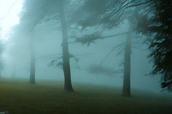 Сайлент Хилл