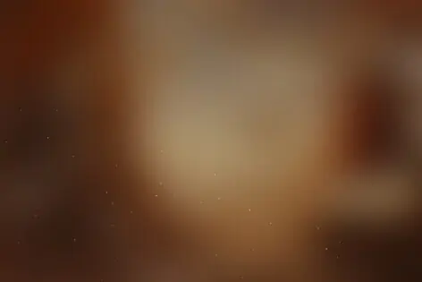 Городской квест «Тайна библиотеки Ивана Грозного» от Wise Rabbit