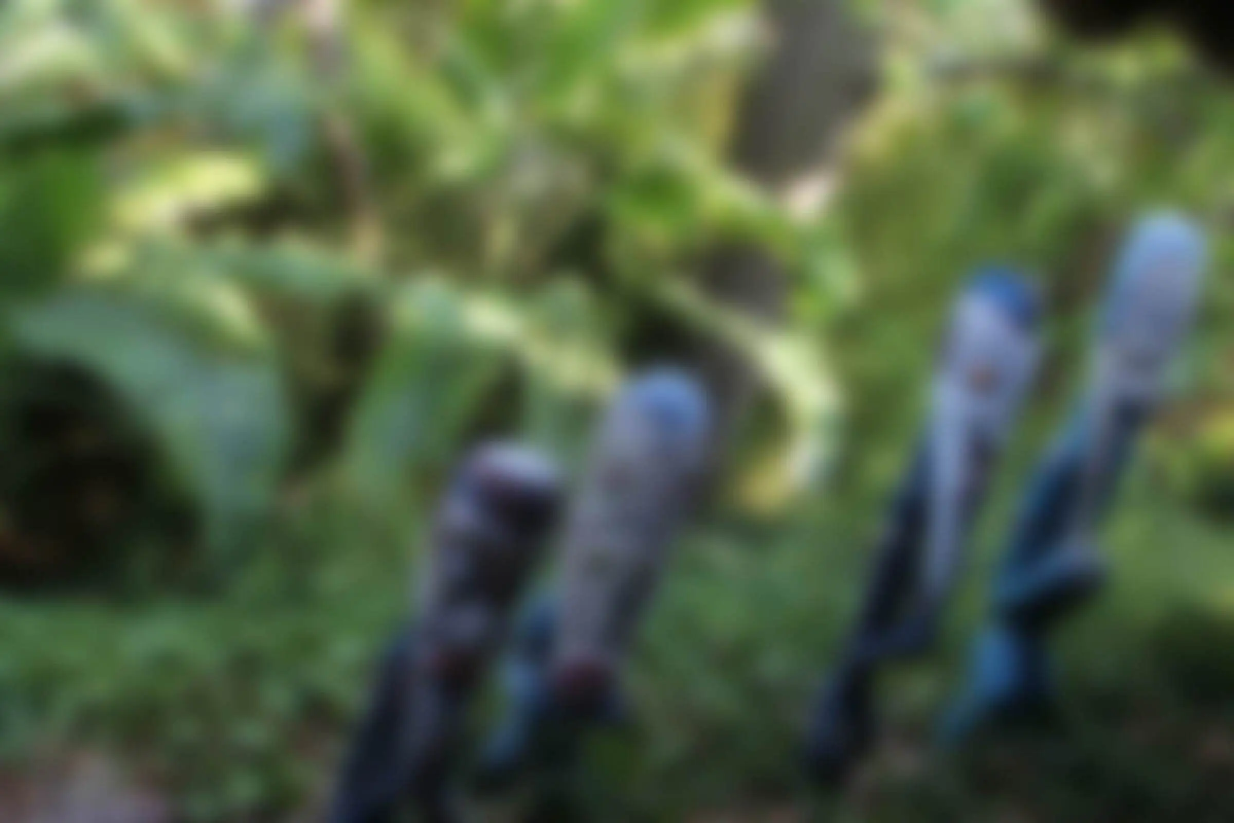 Откройте двери в мир квестов!